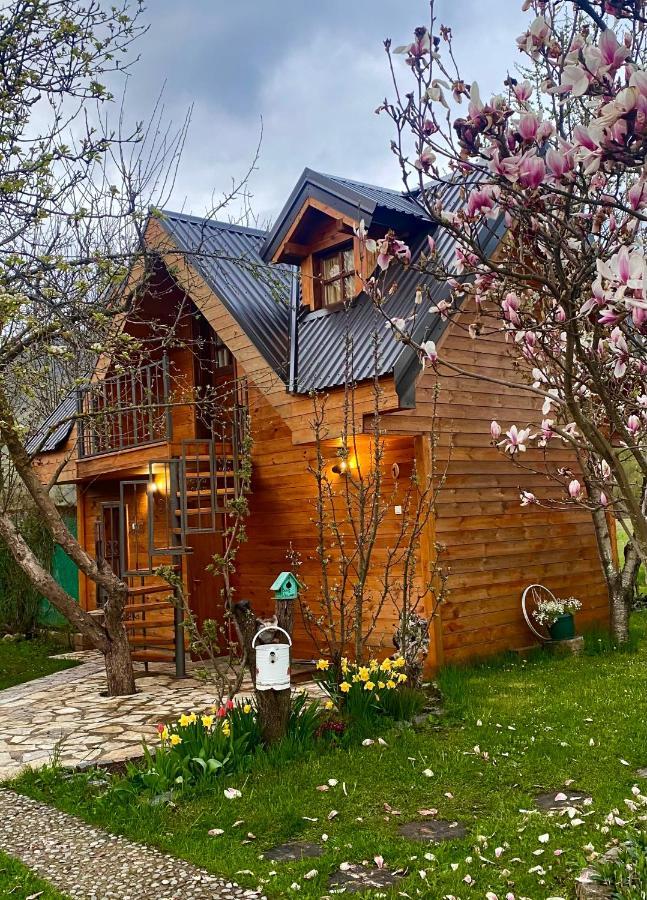 Blue Village 8 Kolašin Екстериор снимка