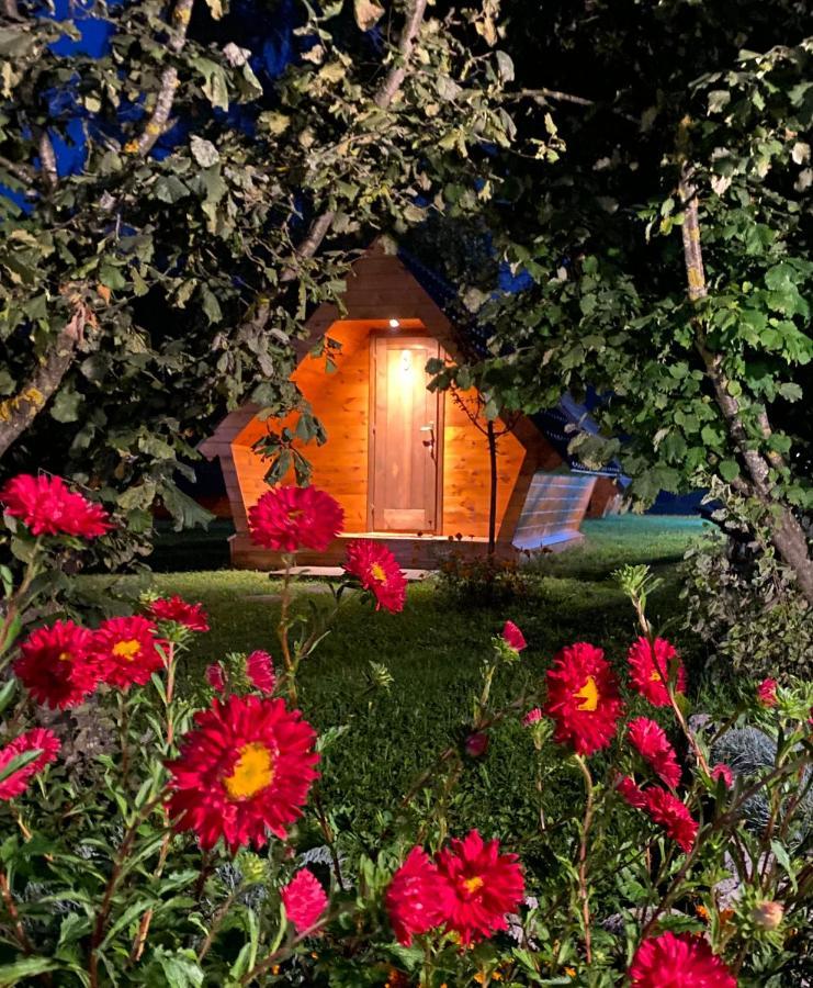 Blue Village 8 Kolašin Екстериор снимка